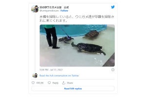 道の駅が投稿したウミガメ達の甲羅クリーニング動画が癒される