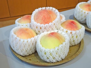 岡山白桃はいまが食べごろ! 美味しい食べ方のコツや東京都内で開催中のフェアをご紹介