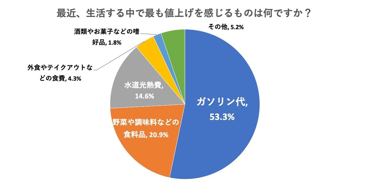 最近、生活する中で最も値上げを感じるものは何ですか?