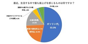 「値上げ」最も感じるもの、食料品を抑えた1位は?