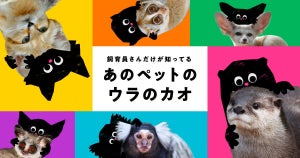 「飼育員さんだけが知ってる あのペットのウラのカオ」動画を公開-4動物園とWWFジャパン