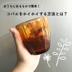 【恐ろしいほど取れます】水とめんつゆに〇〇を混ぜるだけ! 簡単「コバエホイホイ」の作り方