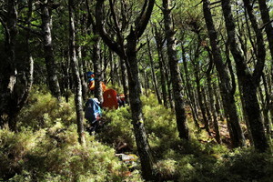 【危険】全校登山で「全員ジャージ」はヤバい!? ある先生の注意喚起に「遭難時に大変なことになる」「風景に溶け込まない柄や色が大事」と共感の声