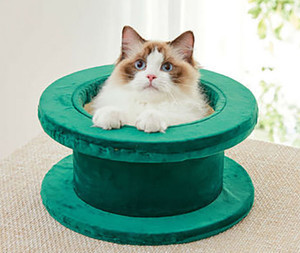 【ひょっこり】土管型のキャットタワーが登場