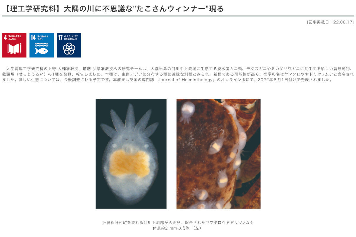 カニと共生する「タコさんウインナー」そっくりの生物が発見される