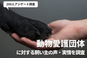 動物愛護団体と動物愛護センターの違い「知っている人」の割合は?