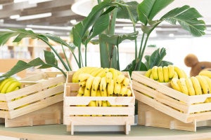 コロプラが「無限バナナ」はじめました - 社内で無限にバナナを食べられる福利厚生