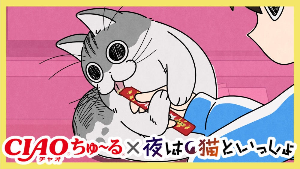 Tvアニメ 夜は猫といっしょ Ciaoちゅ る とのコラボcmを公開 マイナビニュース