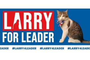 英国「ネズミ捕獲長」猫のラリー、次期首相候補だった？ ネット「選挙したら勝つ」