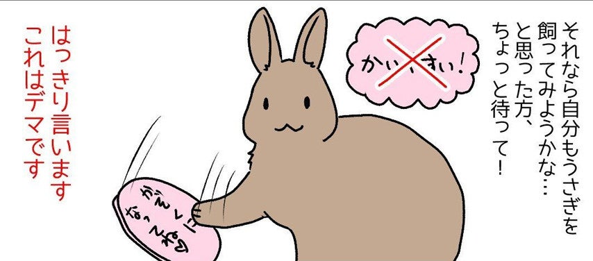 ちょっと待って うさぎを飼う前に知っておいてほしいこと 漫画に称賛の声多数 素晴らしい内容 泣きそうになりました マピオンニュース