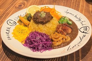 もうやんカレー、究極の漢方薬膳カレー「もうやんスパイスカレー」などを新発売