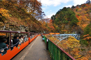 au、国立公園内を走るトロッコ列車・黒部峡谷鉄道の全区間をエリア化