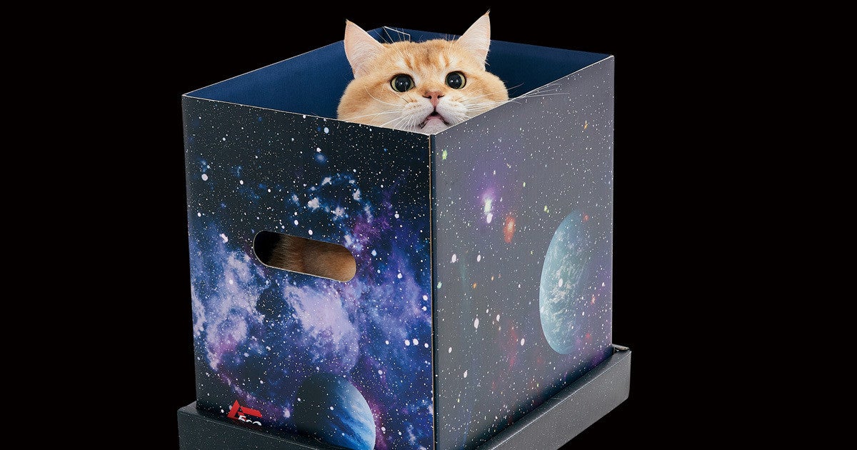 あの「ムー」が公認猫グッズを発売! 宇宙猫製造BOX、ピラミッド
