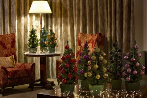 「推し色」クリスマスツリーやケーキで過ごせるホテルステイプランが登場