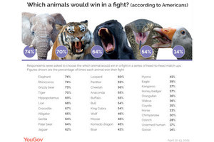 アメリカ人は素手でグリズリーに勝てるが、イギリス人はネズミにも負ける？ という調査が話題に