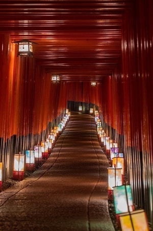 【絶景】秋旅で行ってみたい! 京都・伏見稲荷大社の千本鳥居がただただ美しい - 「妖艶な雰囲気で素敵過ぎます」「めちゃくちゃ行きたい!」と大きな反響が!