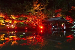 八芳園、秋の大型イベント開催 - 庭園のライトアップやポップアップバー登場