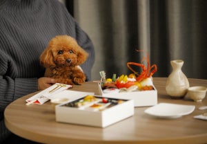 琵琶湖マリオットホテル、愛犬と一緒に宿泊できるプラン「Festive Season with Dog」を発売