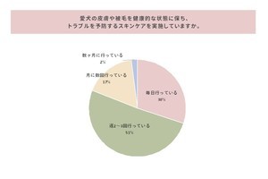 愛犬56%に皮膚トラブル発生 - スキンケアの頻度は?