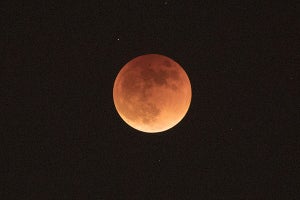 11月8日夜は「皆既月食」、86分間続く赤い月 - 天王星食も同時に発生