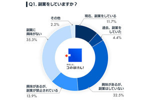 副業の経験者300人の「仕事内容」トップは? 2位は株式投資