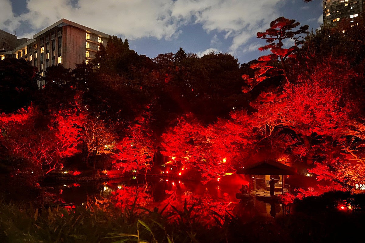 八芳園」がライトアップイベントを開催! 日本庭園が真っ赤に染まる姿が