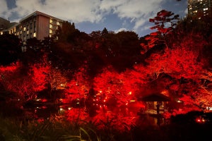 「八芳園」がライトアップイベントを開催! 日本庭園が真っ赤に染まる姿が幻想的すぎる