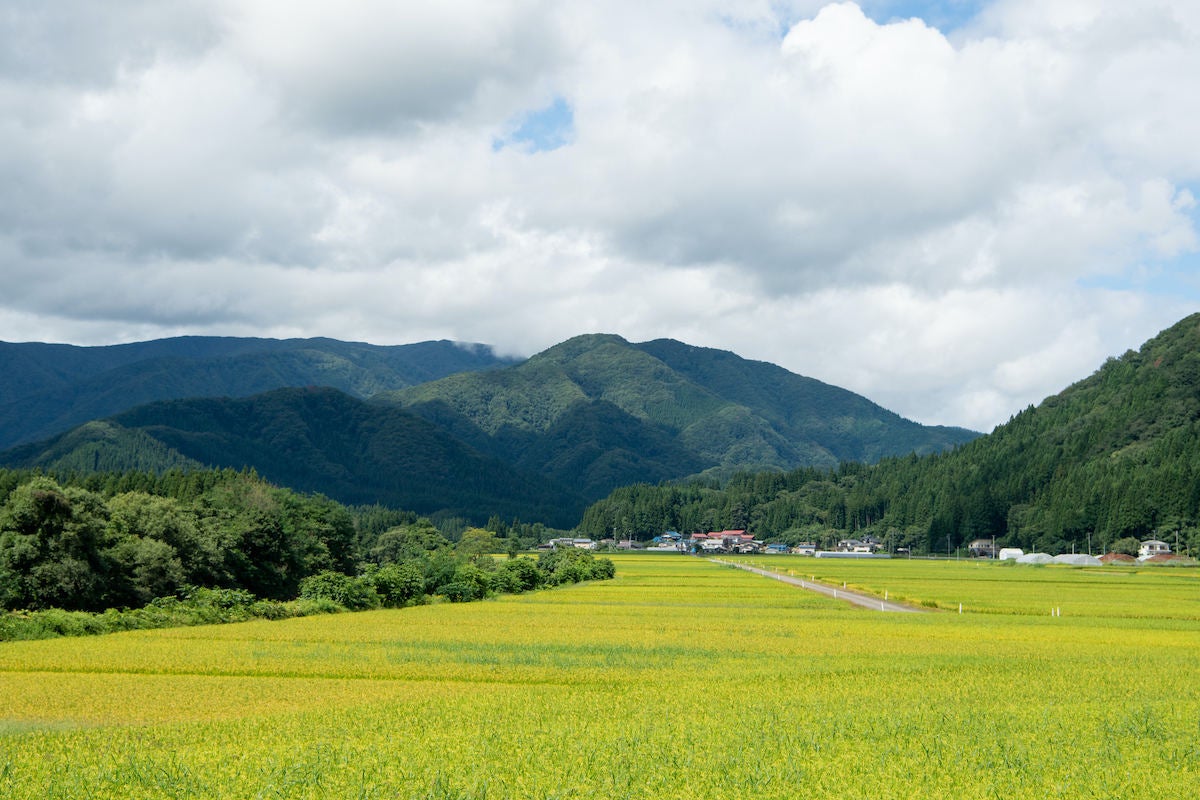 食味ランキング「特A」を20回獲得の実績! 秋田県仙北市で大人気のふるさと納税返礼品「<定期便>令和4年産 秋田県産あきたこまち 計30kg」とは? 