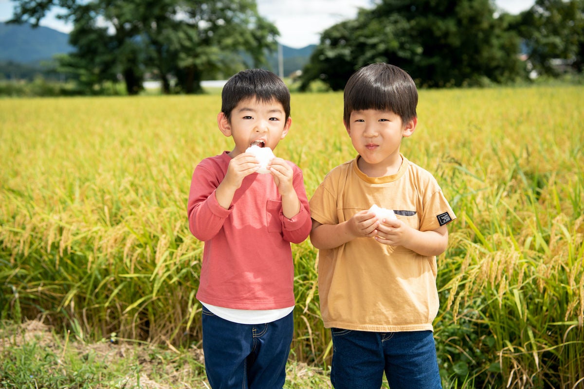 食味ランキング「特A」を20回獲得の実績! 秋田県仙北市で大人気のふるさと納税返礼品「<定期便>令和4年産 秋田県産あきたこまち 計30kg」とは? 