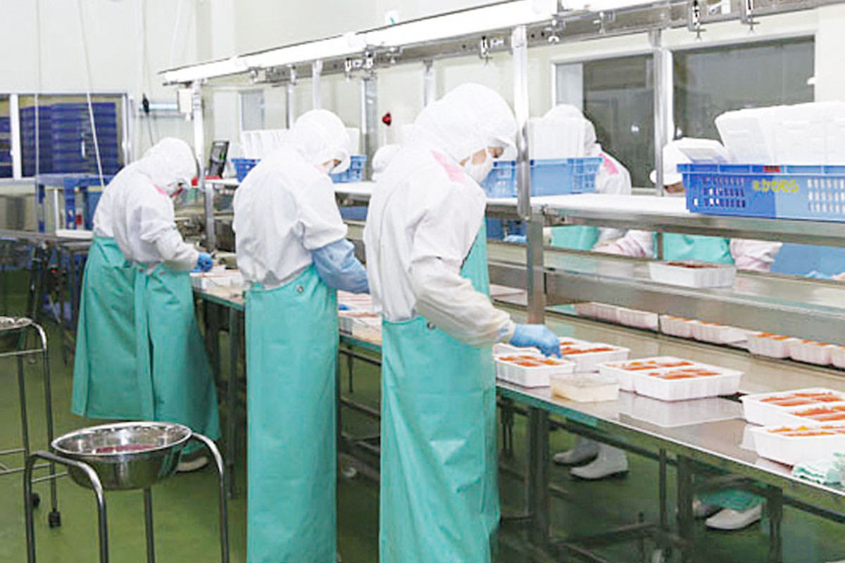 グレード最上位! 宮城県気仙沼市で大人気のふるさと納税返礼品「国産味付いくら『宝壽(ほうじゅ)』」とは？