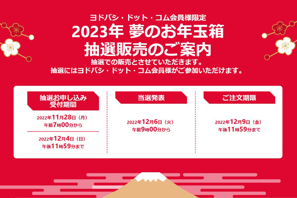 ヨドバシ「2023年 夢のお年玉箱」特設サイト、11月28日7時受付スタート！ | マイナビニュース