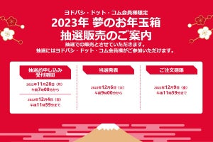 ヨドバシ「2023年 夢のお年玉箱」特設サイト、11月28日7時受付スタート！
