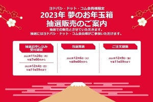 ヨドバシ「夢のお年玉箱」2023年版は50種類、現時点での倍率1位は？