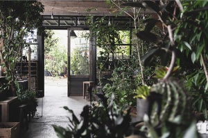 丸ビルに、「植物と暮らす」がコンセプトの“進化系”園芸店「garage」東京店がオープン