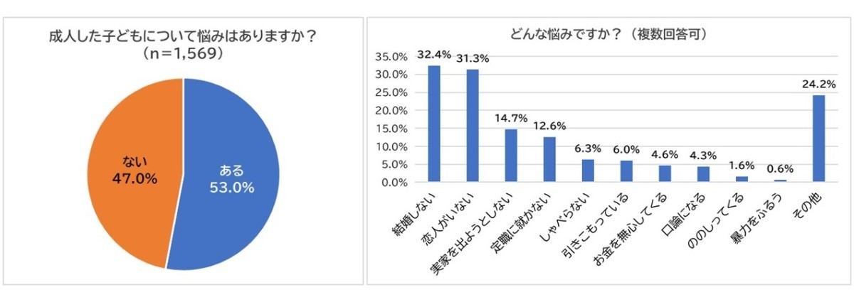 成人した子どもに関する悩み