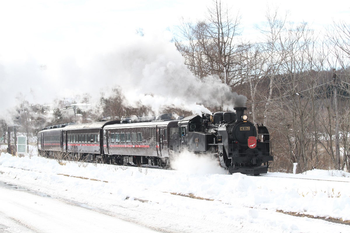 JR北海道 C11 171 14系500番台 スハシ44 SL冬の湿原号 2023年仕様 精密 