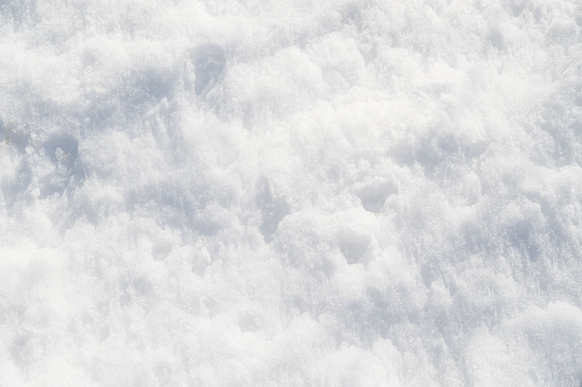 積雪イメージ