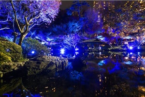 八芳園、日本庭園が青い光に包まれるライトアップイベント開催