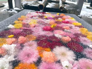 【うっとり】山形の神社の「凍った花手水」が芸術的！ 「まさに自然の美」「なんか神秘」「綺麗を冷凍保存ですね」と称賛の声
