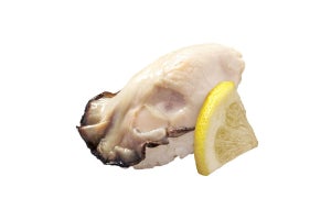 牡蠣・ぶり・さば・とらふぐ! はま寿司で「冬の旬ねた祭り」開催