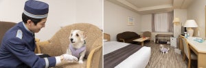 【1日1室限定】札幌パークホテル、愛犬と宿泊できる「ドッグフレンドリープラン」を販売 