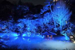 「八芳園」の入場無料ライトアップイベントへ - 冬限定の青く幻想的な庭園に感動!