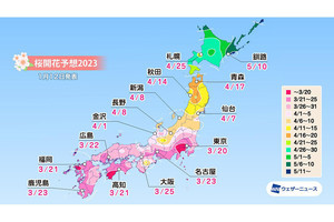 2023年「桜開花予想」を発表! 一番乗りは東京で3月20日