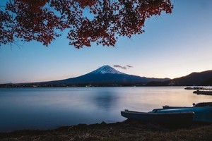 織田信長は何をした人? 年表や名言、さまざまなエピソードを紹介