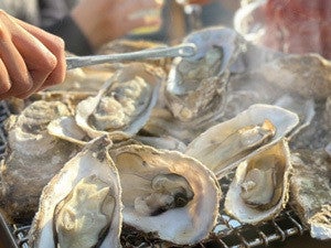 旬の真牡蠣と“てんこ盛り”肉山鍋を味わい尽くす!-肉炉端ロバート「牡蠣小屋と肉小屋」