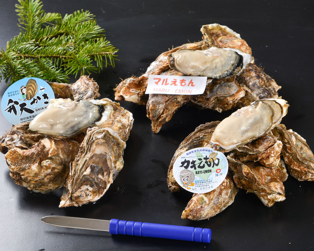 北海道厚岸町のふるさと納税返礼品「殻かき3種 食べ比べ お試しセット」とは?