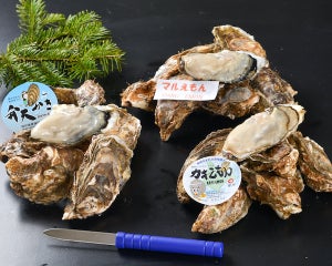 北海道厚岸町のふるさと納税返礼品「殻かき3種 食べ比べ お試しセット」とは? 