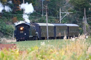 大井川鐵道が冬の閑散期にSL列車増発、「温泉シャトルバス」運転も