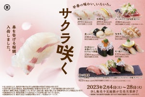 「回転寿司みさき」に春を告げる「桜鯛」入荷! 珍しい「鬼海老」も初登場