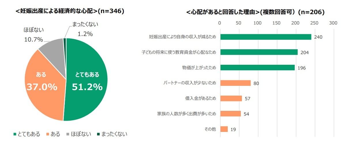 妊娠出産に際しての心配